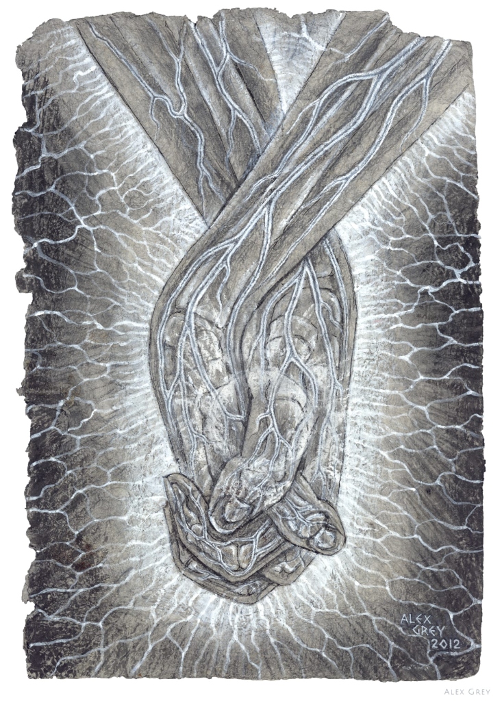 Sabiduría de las manos